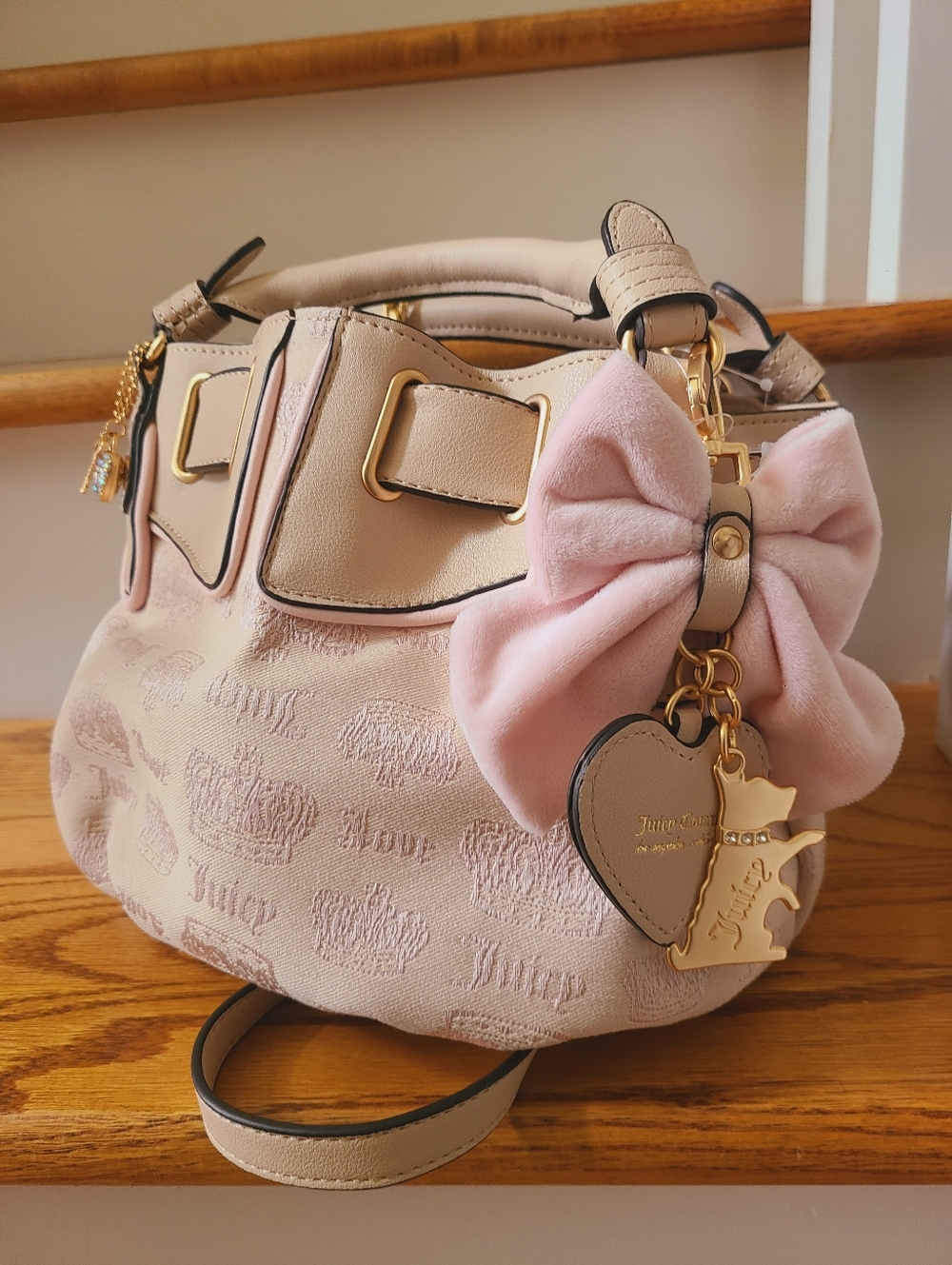 Juicy Couture Bag 🎀